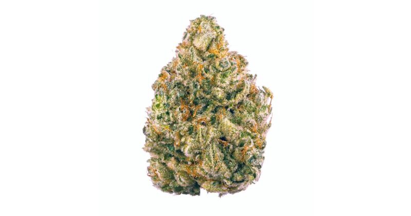 THC-A Flower - Image 5