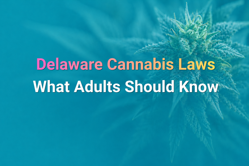 Delaware cannabis laws adults should know