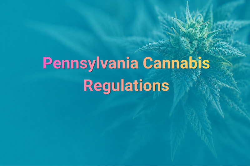 Pennsylvania cannabis regulations and shopping guide
