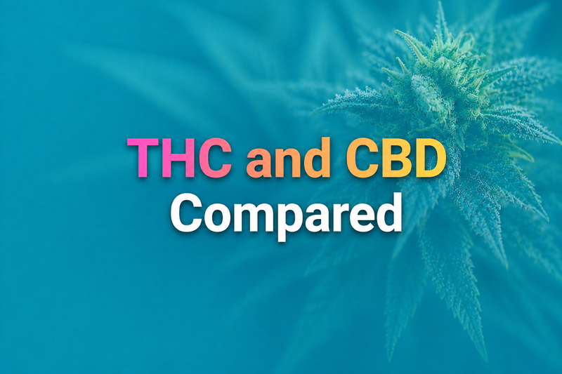 THC and CBD Compared