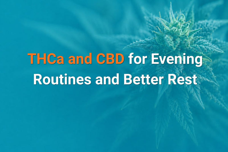 THCa and CBD guide for evening wellness routines