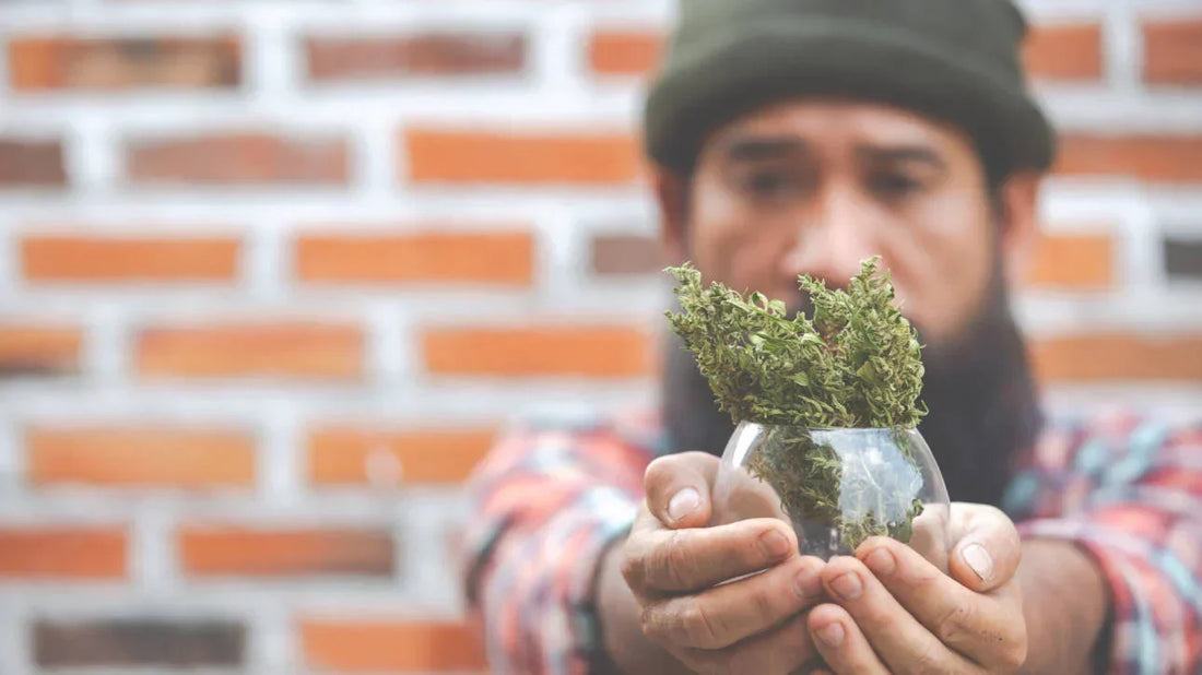 Hands holding glass jar with cannabis flower for first-time hemp user guide - Pure Shaka