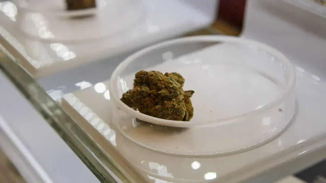 Cannabis dispensary display for THCa indica sativa hybrid strains guide - Pure Shaka