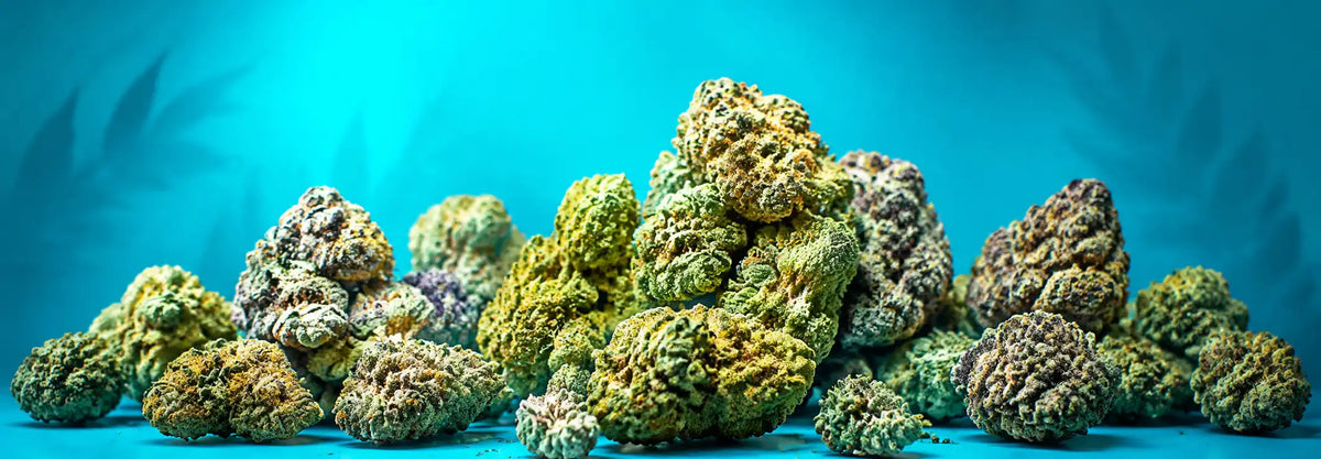Flower Friday - Supremes collection hero background at Pure Shaka