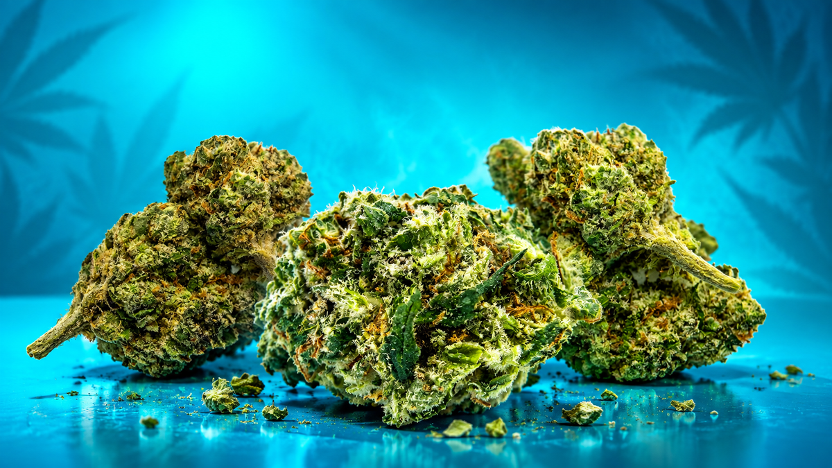 Signature THCa Flower