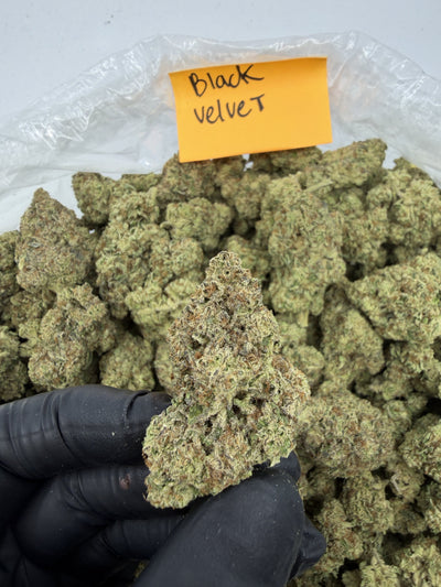 Black Velvet | Supreme | Indica | 25.50%