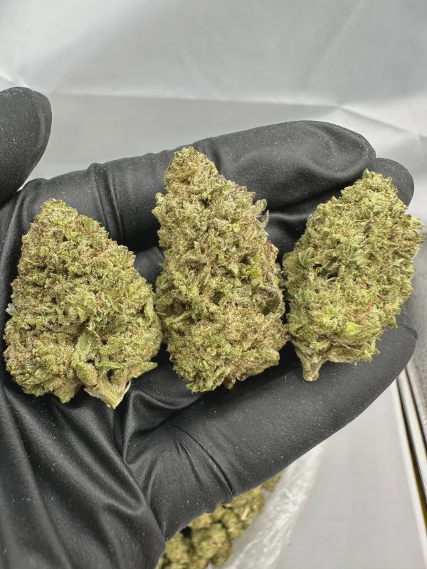 Do Si Do | Supreme | Indica | 32.86%