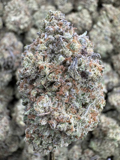 Donut Shop | Supreme | Sativa | 27.83%