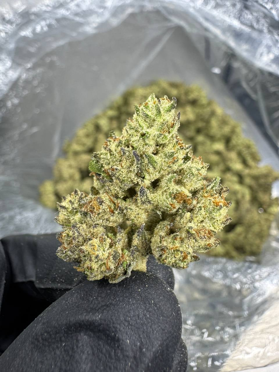 Guava Gas | Signature | Indica | 27.40%