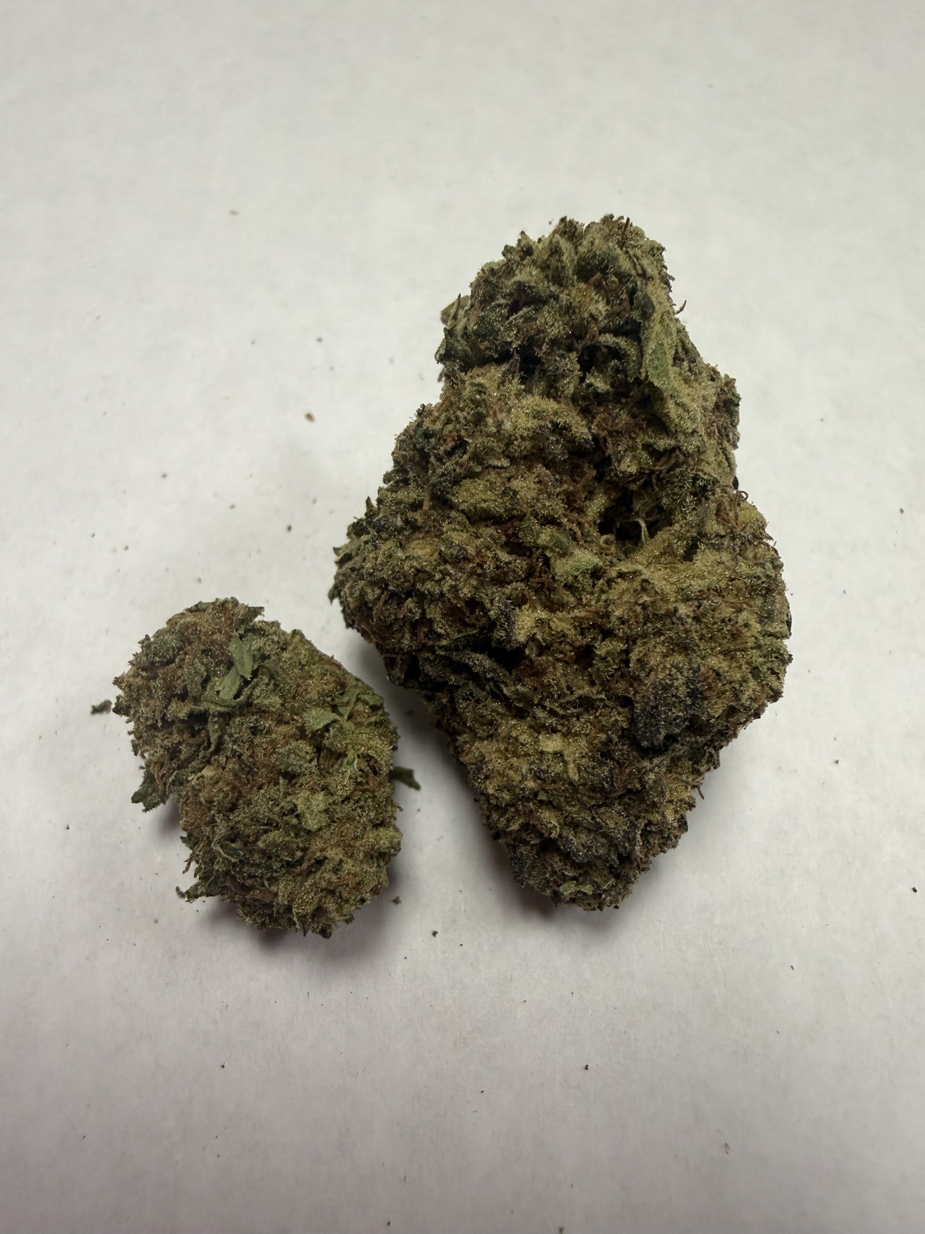 Gum Drops | Signature | Hybrid | 26.27%