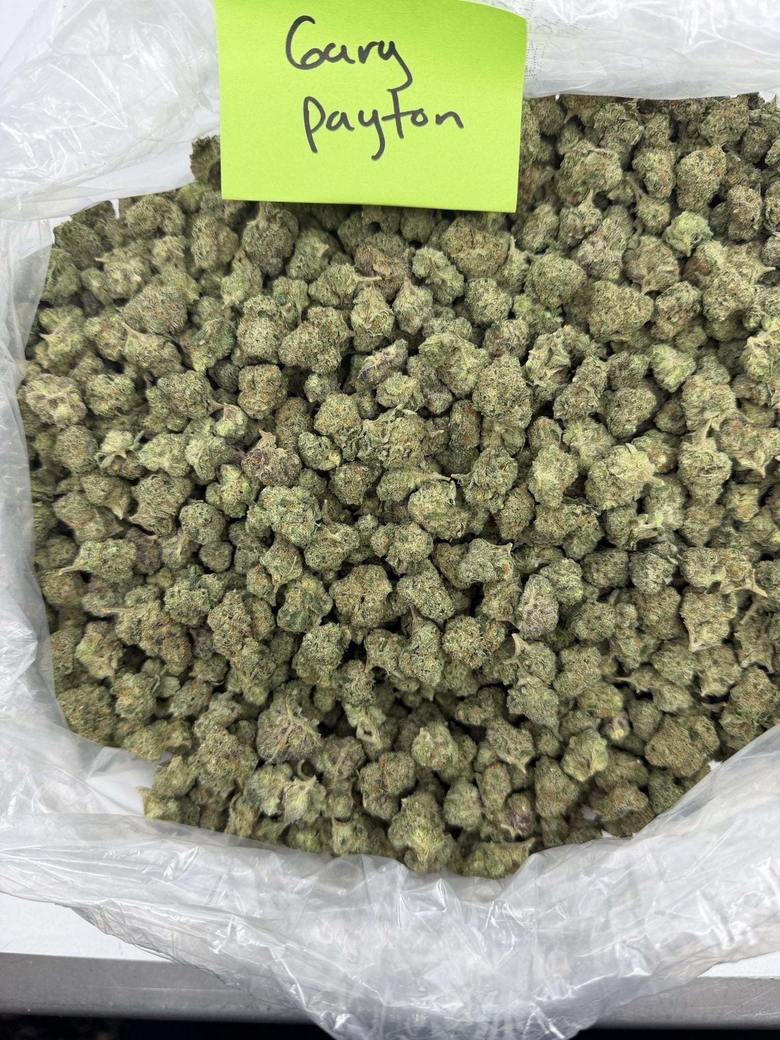 Gary Payton | Smalls | Hybrid | 26.22%