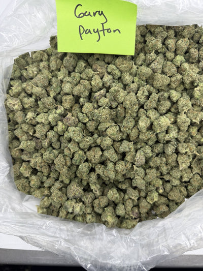 Gary Payton | Smalls | Hybrid | 26.22%