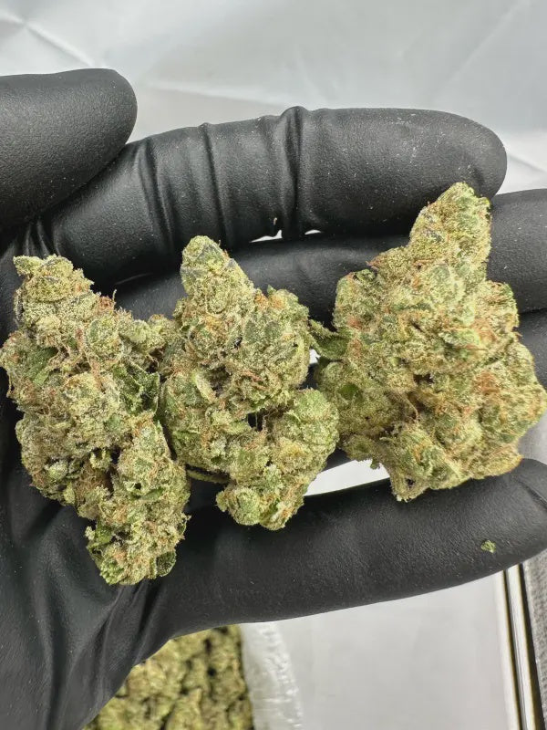 Kosher Kush | Supreme | Indica | 33.04%