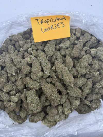 Tropicana Cookies | Signature | Sativa | 26.28%
