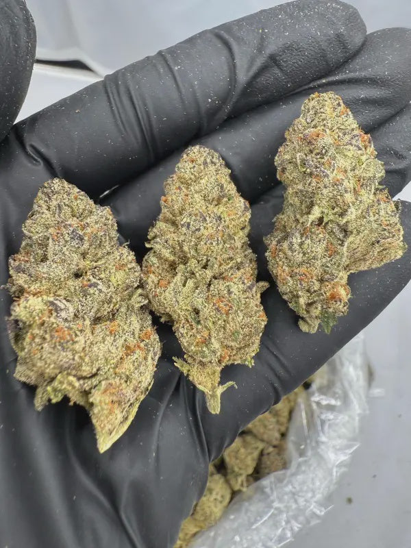 Zoap | Signature | Hybrid | 25.11%