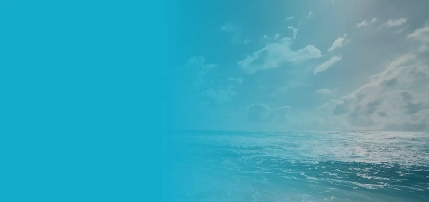 The image features a serene ocean scene with gentle waves under a bright, partly cloudy sky.