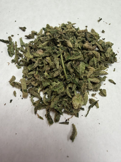 Gary Payton | Shake | Hybrid | 33.24% | 28G