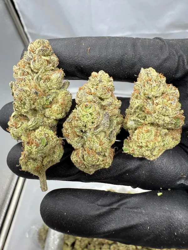 White Widow | Smalls | Hybrid | 22.56%