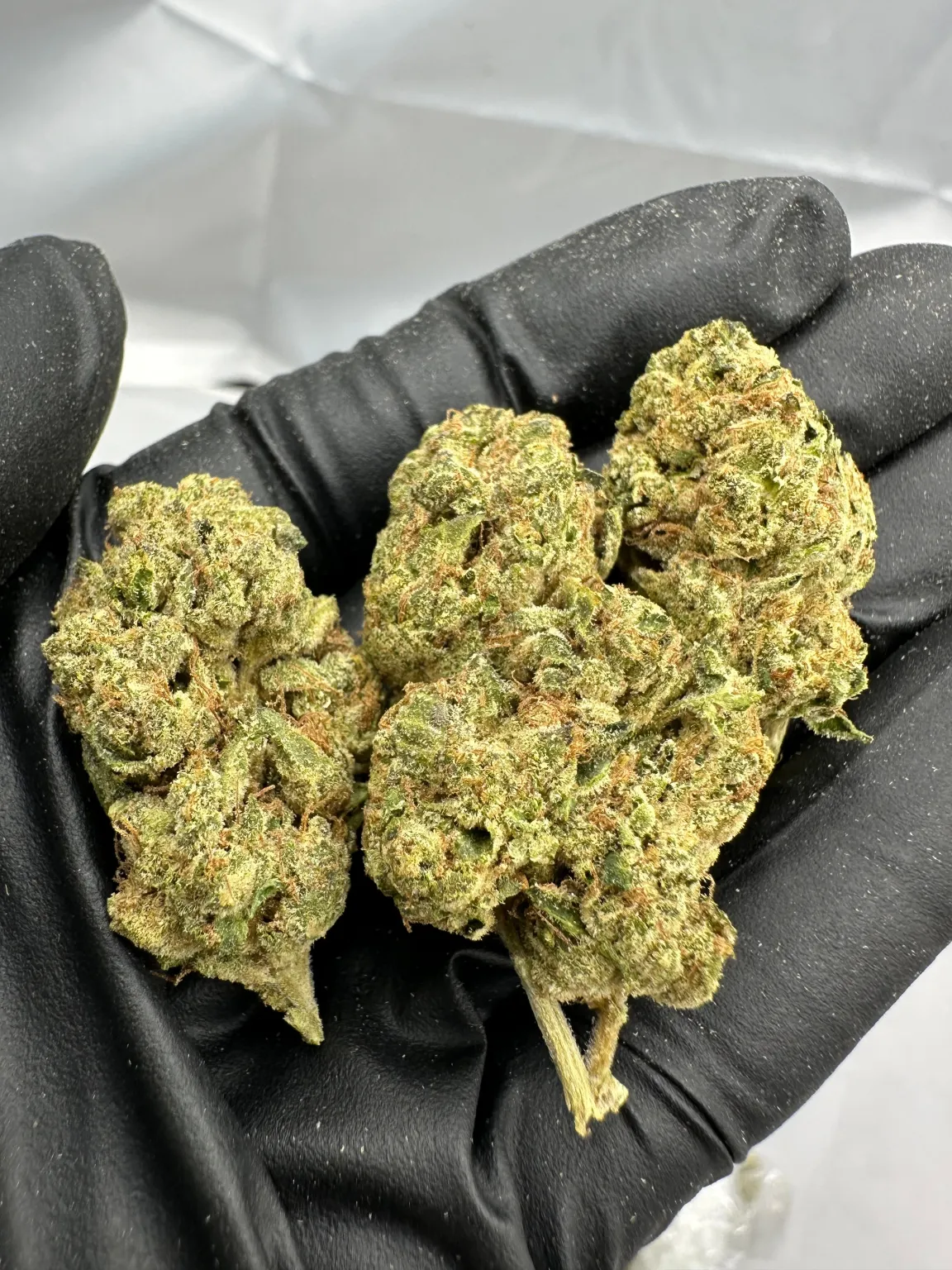 Maui Wowie | Supreme | Sativa | 32.15%