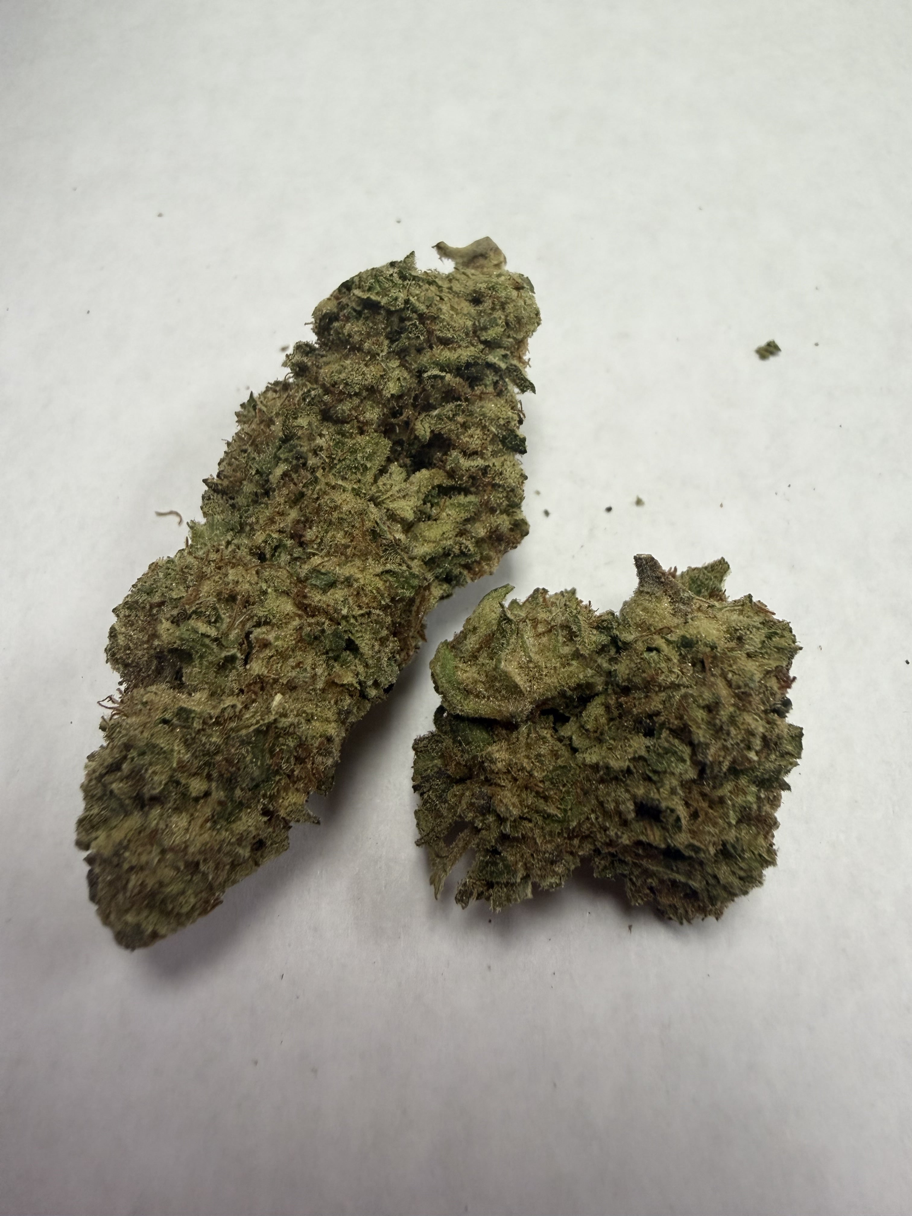 Mule Fuel | Signature | Indica | 27.18%