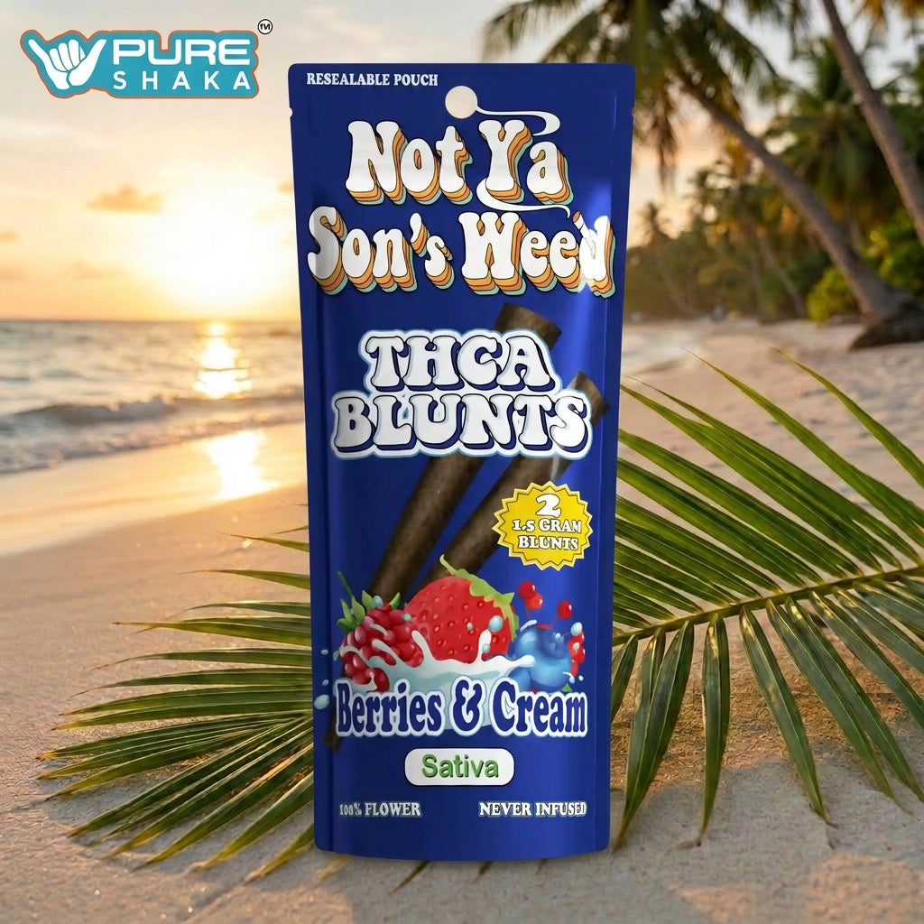 NYSW THCA Blunt 2-Pack