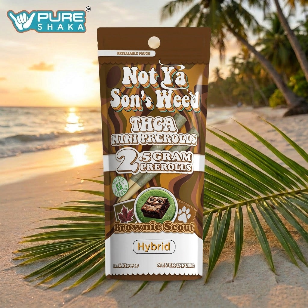 NYSW THCA Mini Pre-Roll 2-Pack