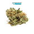 Black Garlic Gelato THCa Signature Hybrid Flower | 30.58%
