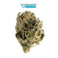 El Chivo THCa Supreme Indica Flower | 30.94%