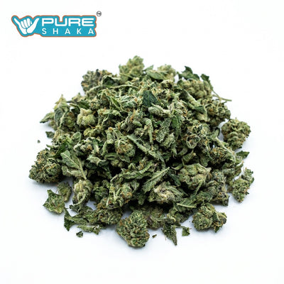 Gas Face THCa Shake | 28G