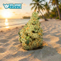 GMO | Smalls | Indica | 32.66%