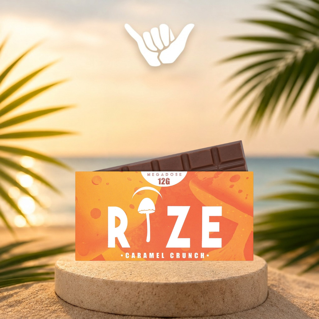 Rize Mushroom Chocolate Bars