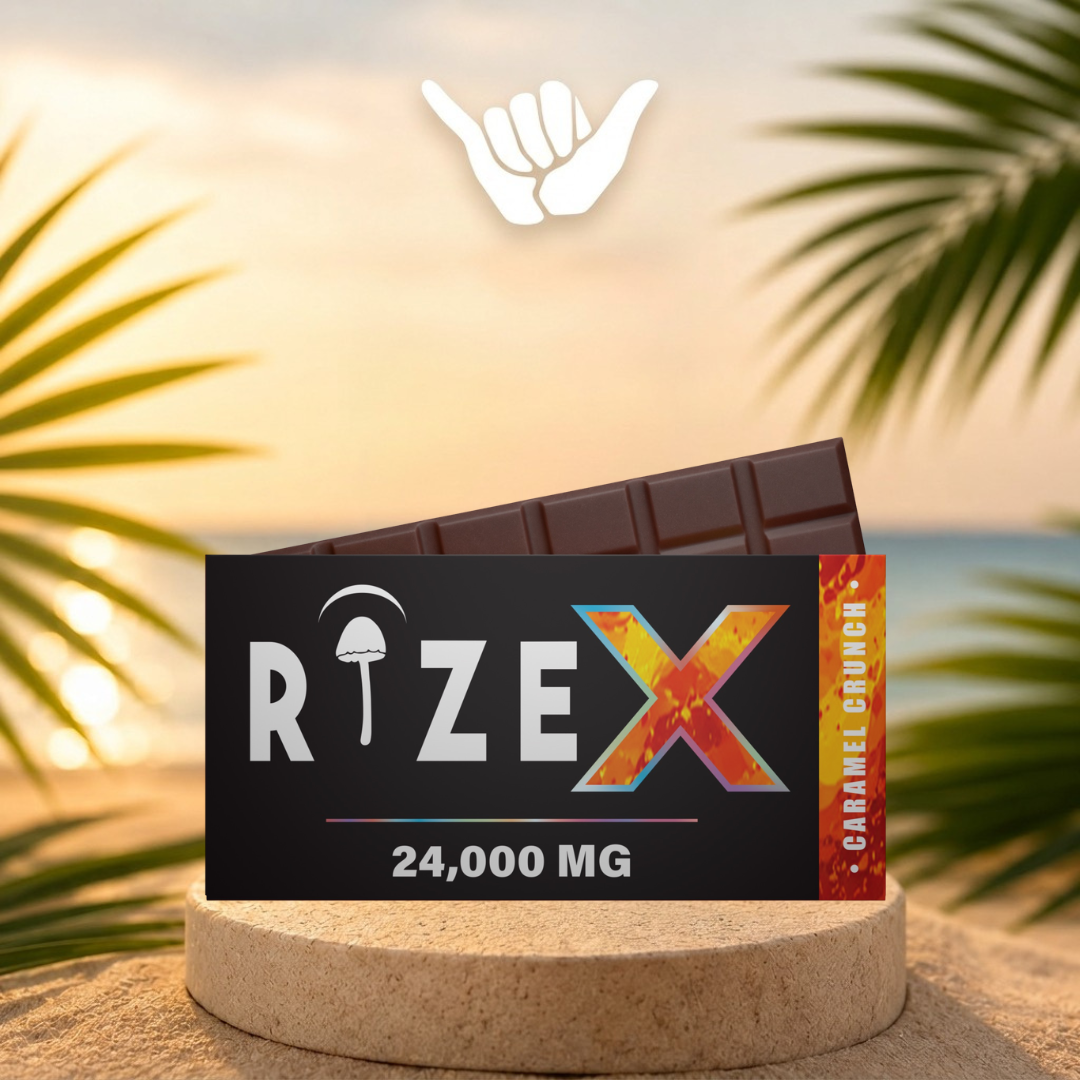 Rize Mushroom Chocolate Bars