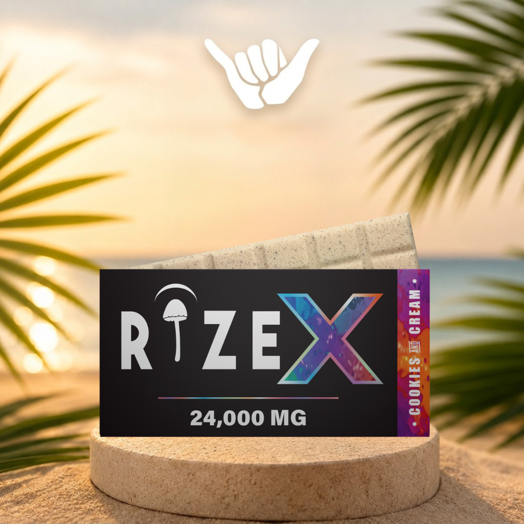 Rize Mushroom Chocolate Bars