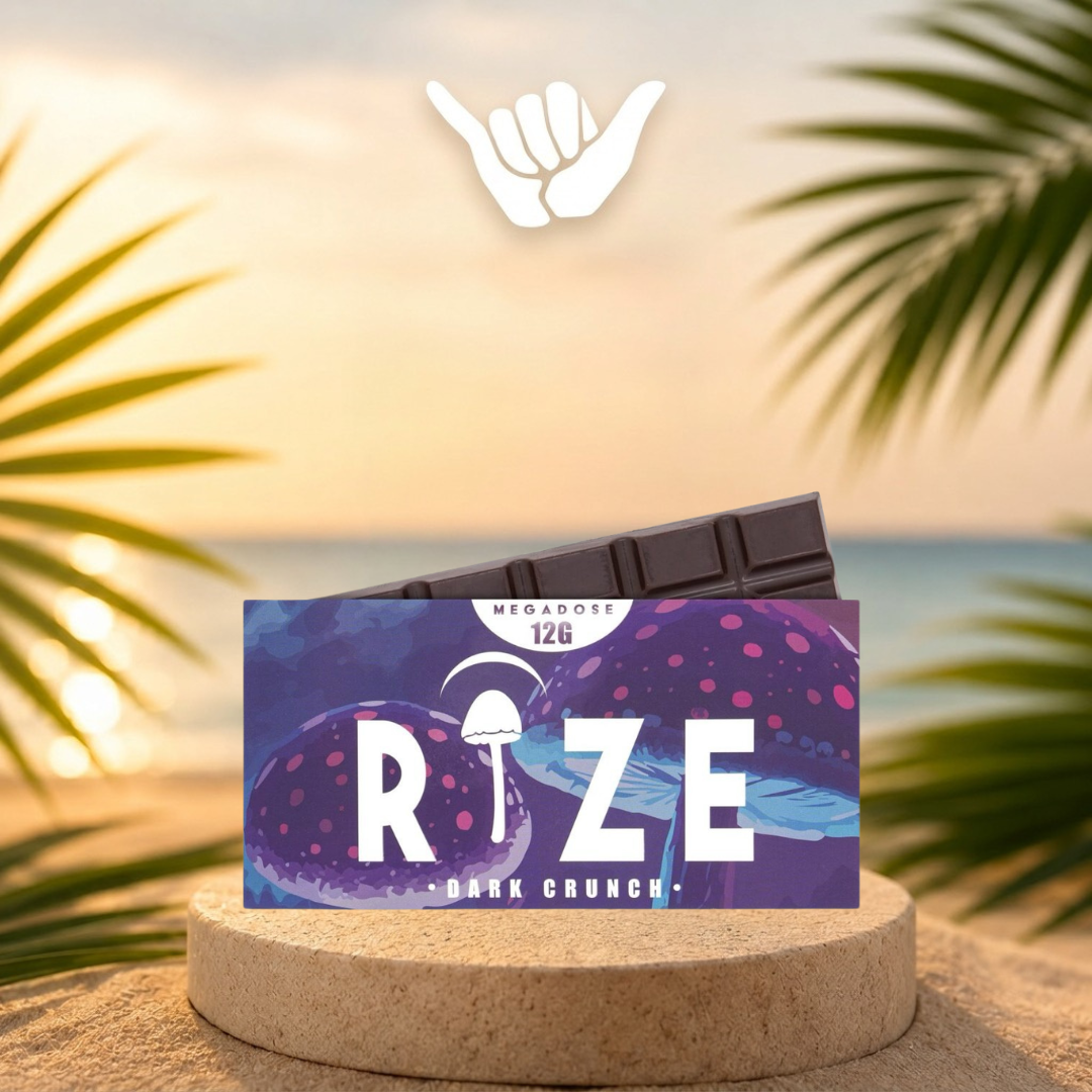 Rize Mushroom Chocolate Bars