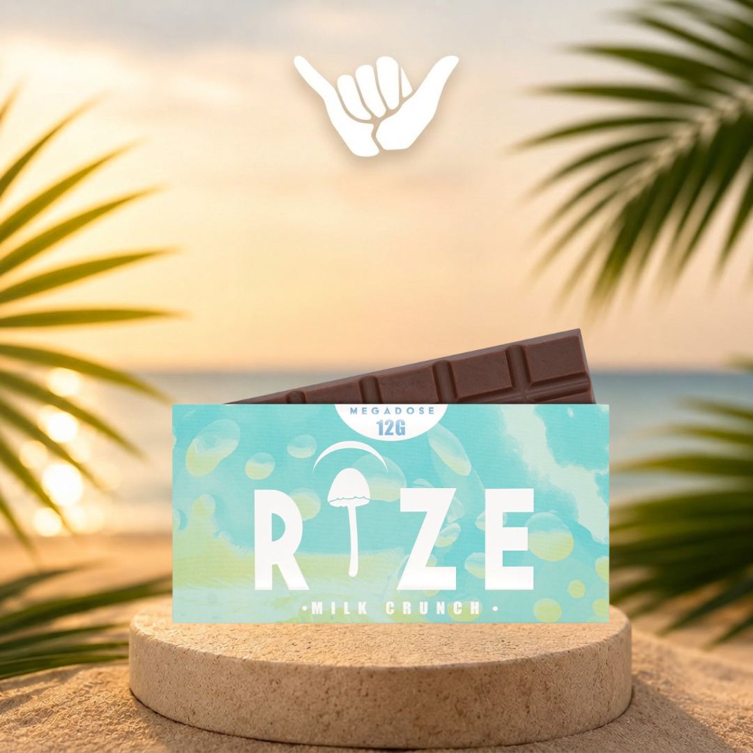 Rize Mushroom Chocolate Bars