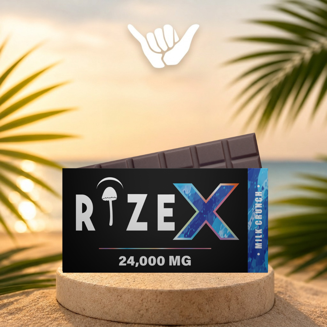 Rize Mushroom Chocolate Bars
