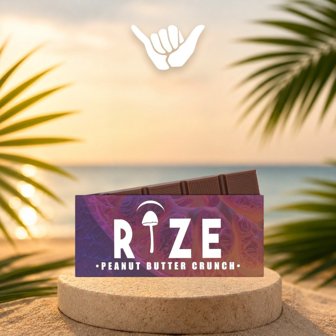 Rize Mushroom Chocolate Bars