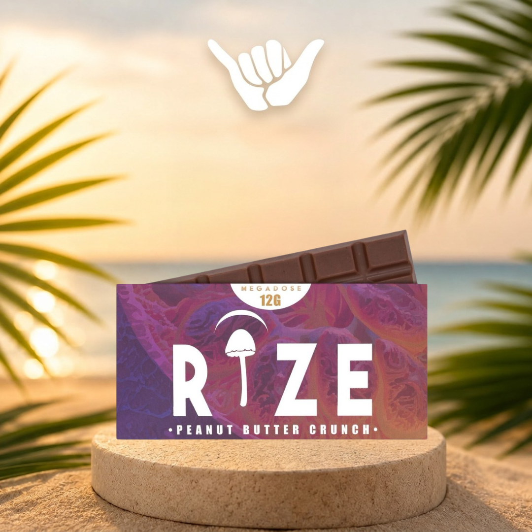 Rize Mushroom Chocolate Bars