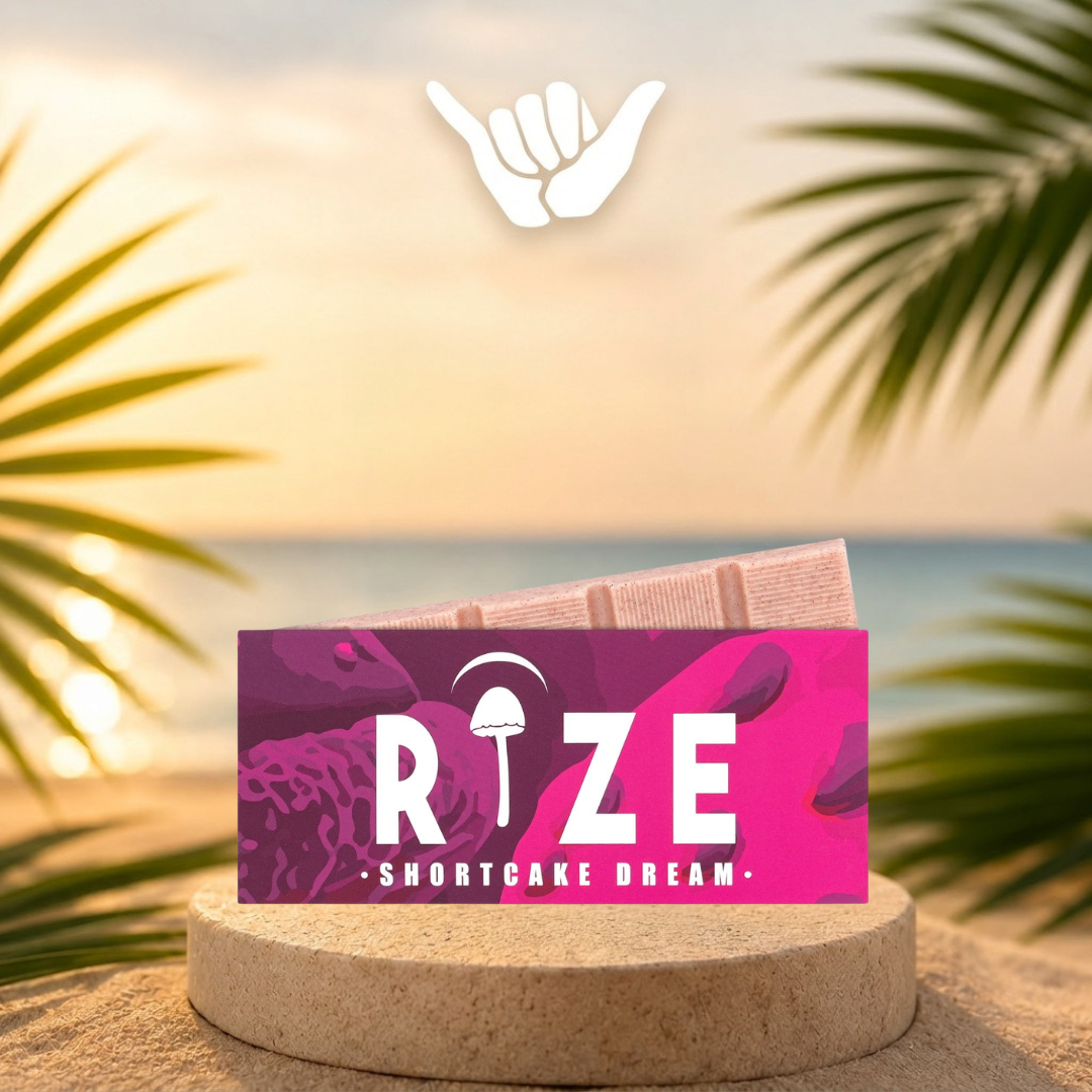 Rize Mushroom Chocolate Bars