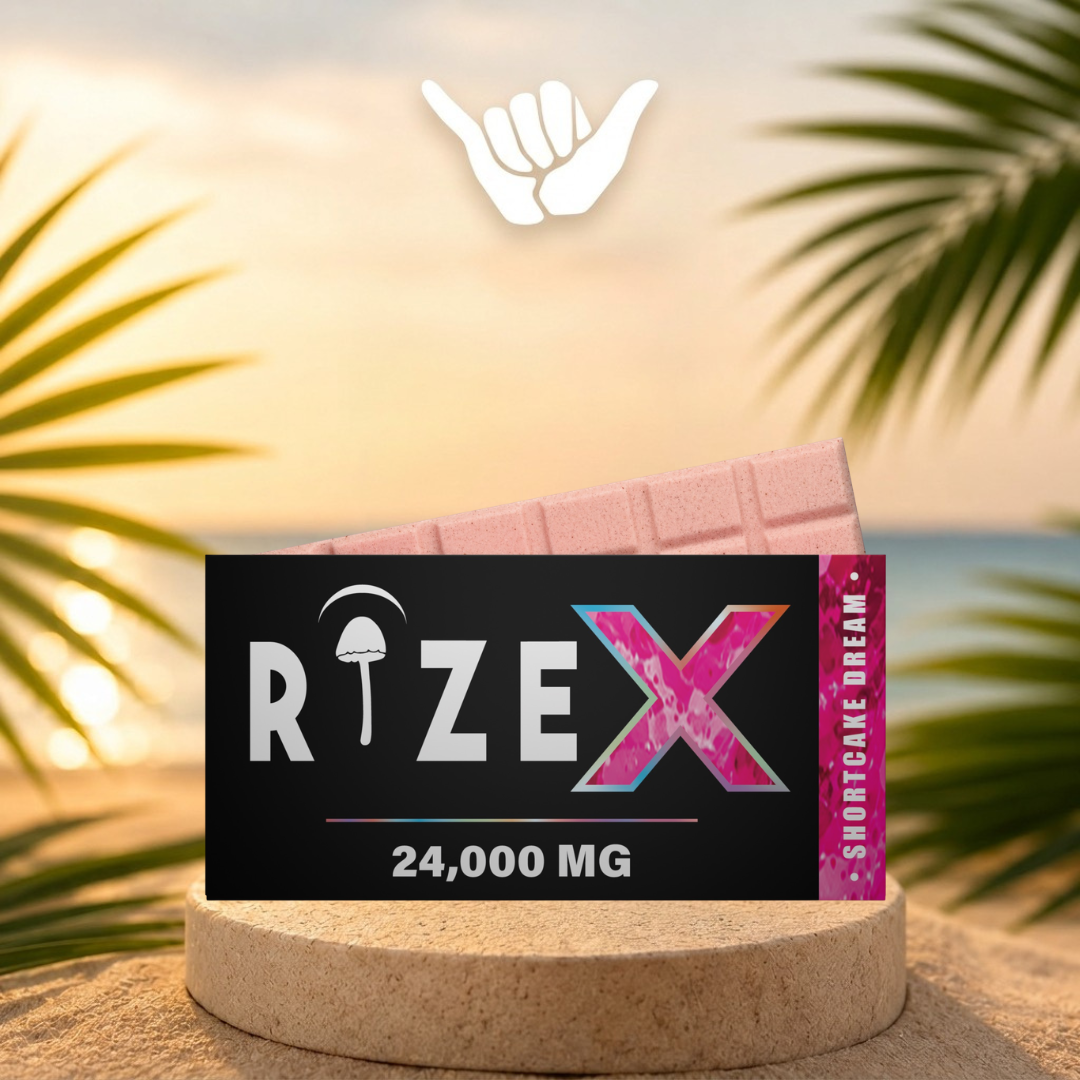 Rize Mushroom Chocolate Bars