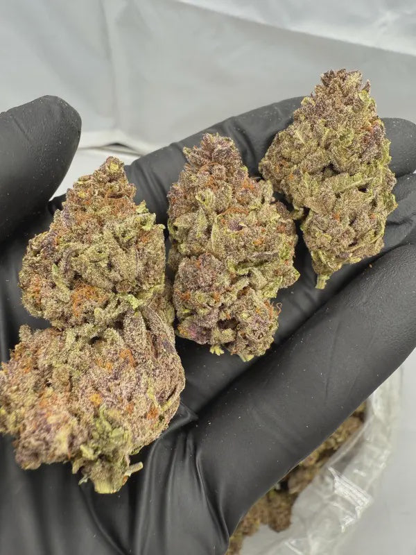 Trop Cherry Cookies | Smalls | Sativa | 23.69%