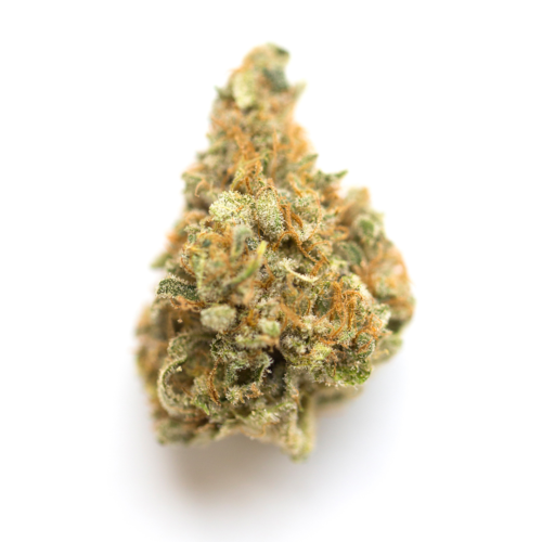 Monkey Pie AA 24.57% - Indica