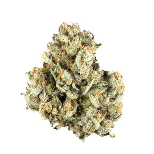 Octane Mint Sorbet AAA 28.09% - Indica
