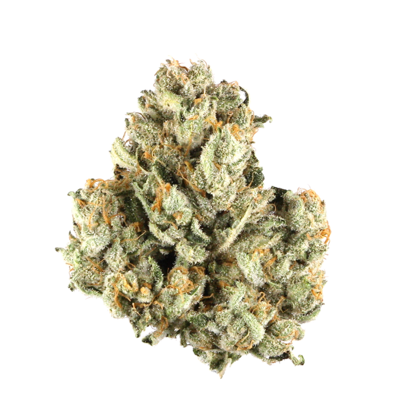 Octane Mint Sorbet AAA 28.09% - Indica