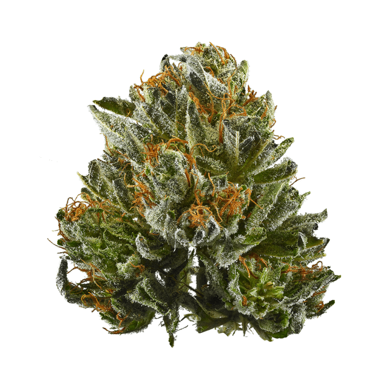 Bubba Kush 33.26% Indica Supreme