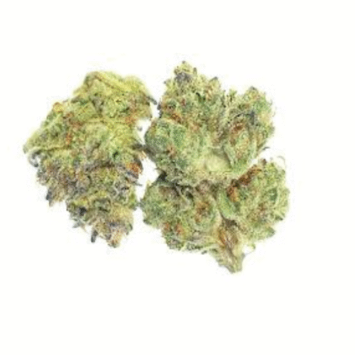 Oreo Blizzard 29.67% Indica Signature
