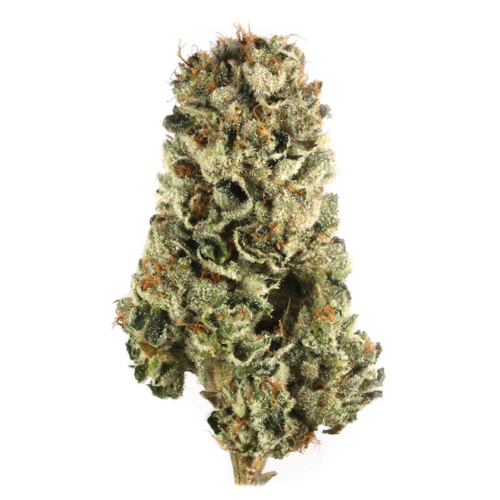 Oreo Blizzard 29.67% Indica Signature