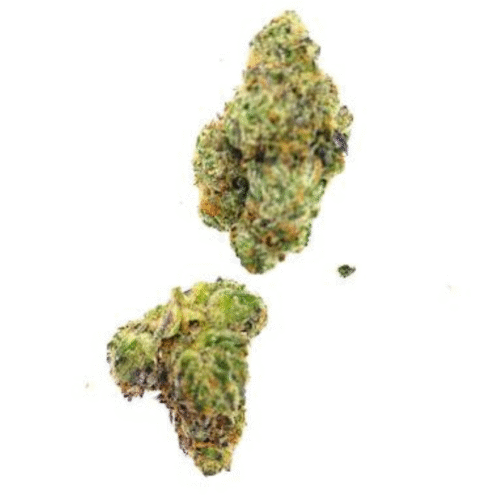 Tropical Summer 32.64% Sativa Supreme