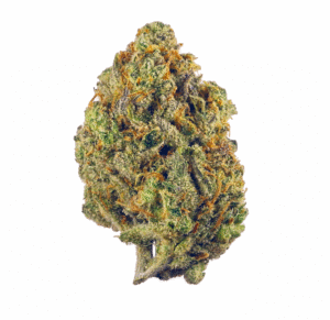 Garlic Mintz 30.94% Sativa Smalls