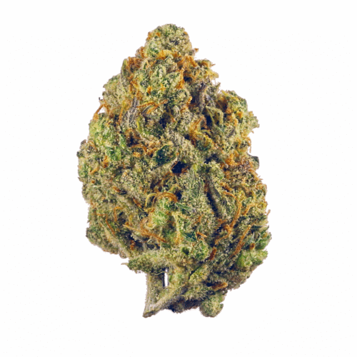Garlic Mintz 30.94% Sativa Smalls